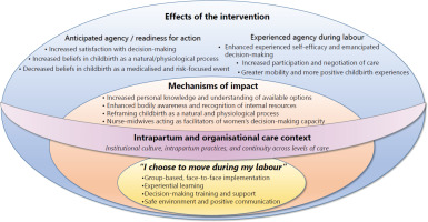 https://www.europeanjournalofmidwifery.eu/f/fulltexts/223963/EJM-10-36-g001_min.jpg