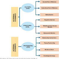 https://www.europeanjournalofmidwifery.eu/f/fulltexts/224435/EJM-10-29-g001_min.jpg