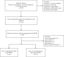 https://www.europeanjournalofmidwifery.eu/f/fulltexts/226443/EJM-10-35-g001_min.jpg